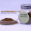 Natural Salidroside Rosavins Rhodiola Rosea Root Extract